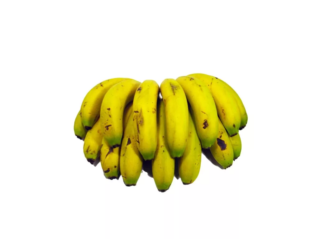 banana nanica