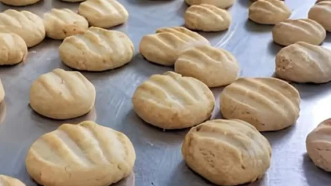 vários Biscoitinhos fit de coco e polvilho.