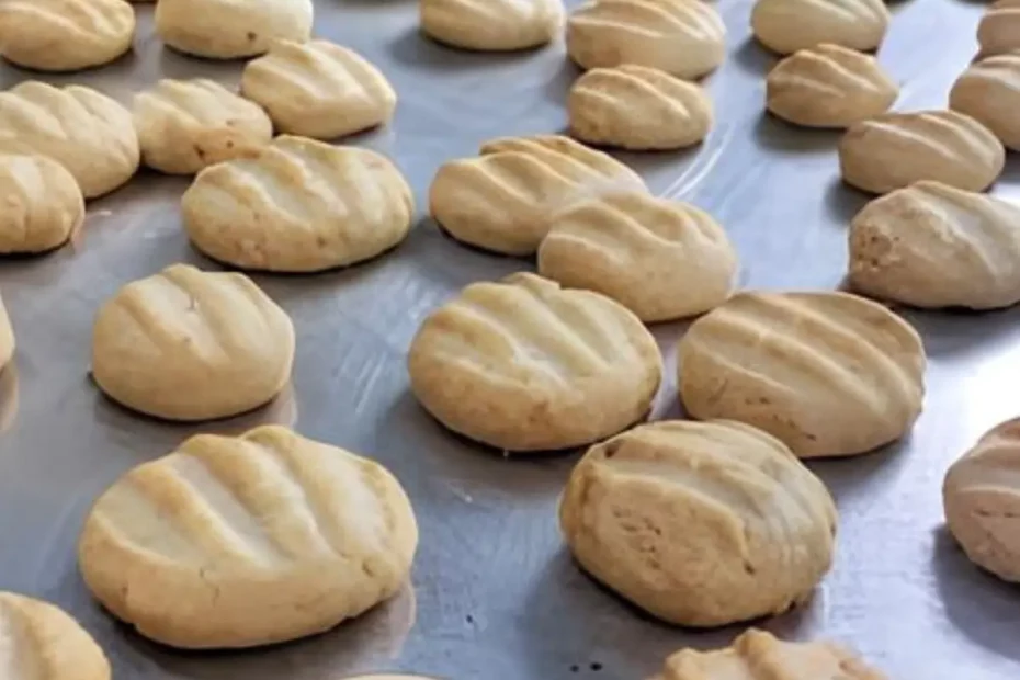 vários Biscoitinhos fit de coco e polvilho