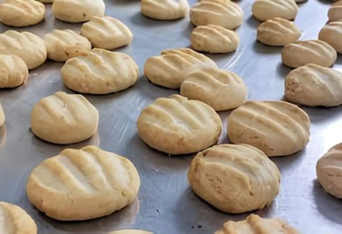 vários Biscoitinhos fit de coco e polvilho