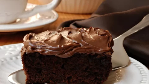 Um prato com uma fatia de bolo de chocolate feito com água quente.