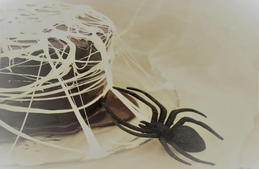 Bolo de Chocolate com Aranha e Teia 3